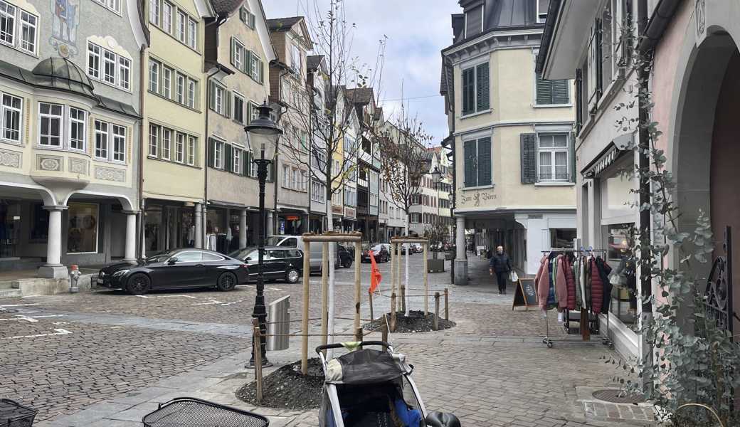 Den Standort für zwei Bäume in Altstättens Marktgasse zu finden, war «nicht ganz leicht».     