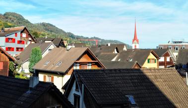 Rebstein senkt den Steuerfuss