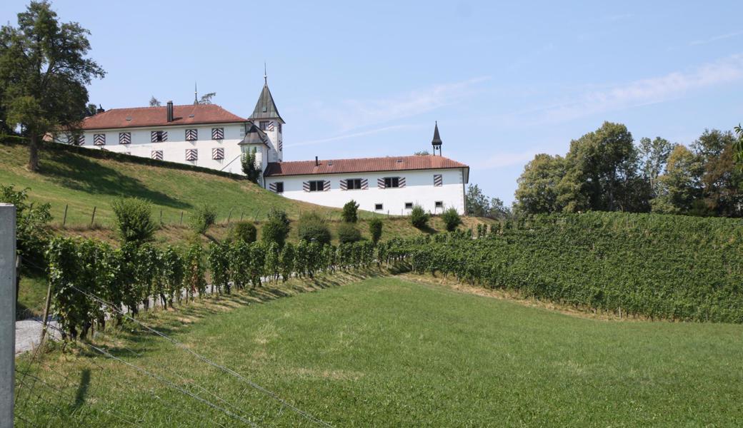 Das Schloss Weinberg mit 35000 Quadratmetern Gesamtfläche, davon 6255 Quadratmeter Rebland und Schloss mit Weinkellerei, steht zum Verkauf.
