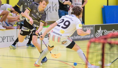 Rheintal Gators zittern weiter um die Playoff-Teilnahme