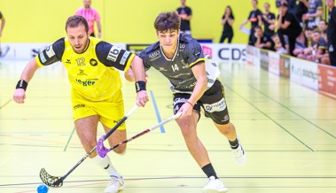 Rheintal Gators starten mit einer Doppelrunde ins Playoff-Viertelfinal