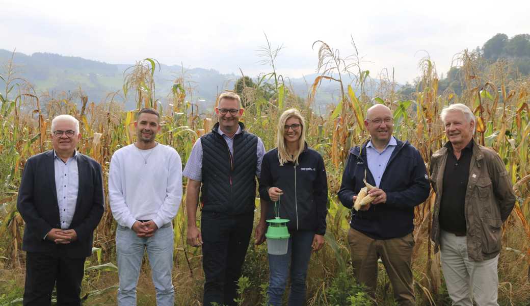 Sehen auch bei klimatischen Veränderungen eine Zukunft für den Rheintaler Ribelmais (von links): AGV-Präsident Klaus Brammertz, Christian Lütolf (Geschäftsführer Lütolf AG), Bauernverbandspräsident Peter Nüesch, Agronomin Vivienne Oggier, Regierungsrat Beat Tinner, Ernst Lütolf (stv. Geschäftsführer Lütolf AG). Sehen auch bei klimatischen Veränderungen eine Zukunft für den Rheintaler Ribelmais (von links): AGV-Präsident Klaus Brammertz, Christian Lütolf (Geschäftsführer Lütolf AG), Bauernverbandspräsident Peter Nüesch, Agronomin Vivienne Oggier, Regierungsrat Beat Tinner, Ernst Lütolf (stv. Geschäftsführer Lütolf AG).