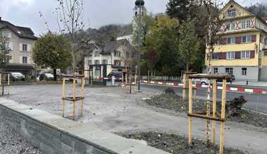 Es wird gepflanzt: Ein Mini-Park entsteht auf der Rössliwiese