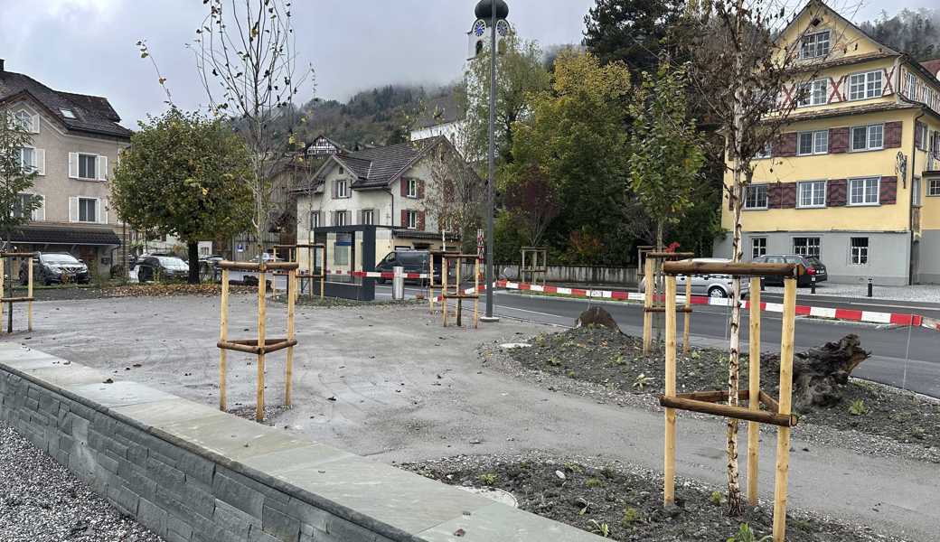 Es wird gepflanzt: Ein Mini-Park entsteht auf der Rössliwiese