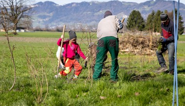 Mehr Natur: Gemeinsam über 100 Meter artenreiche Hecken gepflanzt