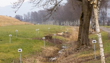 Ausserirdische Armee am Rheindamm? Dazu dienen die Geräte, die wie Aliens aussehen