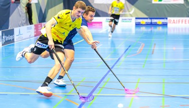 Zwei Siege und 13:3 Tore: Gators überzeugen in der Doppelrunde