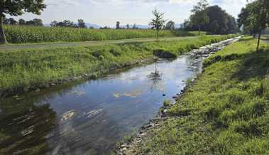 Rietaach wird durch das Hochwasserschutzprojekt zum Leben erweckt