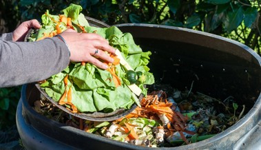 Selber essen statt Ameisen züchten: Warum Food Waste unangenehme Nebeneffekte haben kann