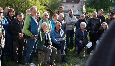 Eine Fläche von fast 390 Fussballfeldern für die Rheintaler Natur geschaffen