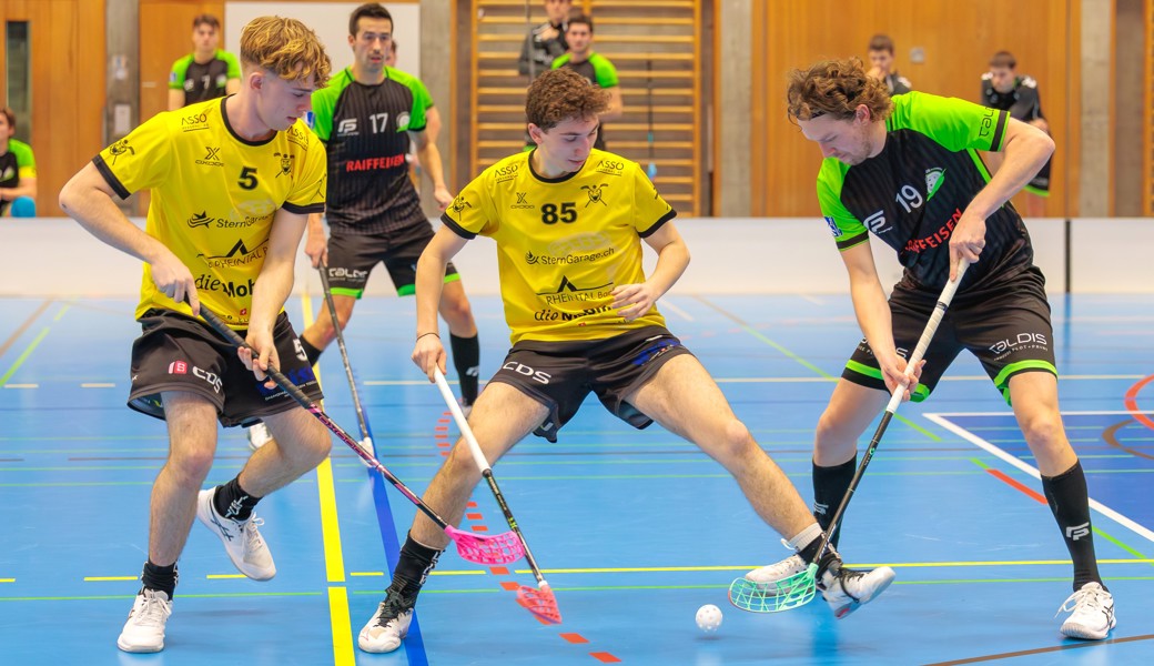 Gators wollen sich in der Doppelrunde das Playoff-Heimrecht sichern