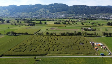 «Wir waren wie auf  Nadeln»: Heute öffnet das Maislabyrinth