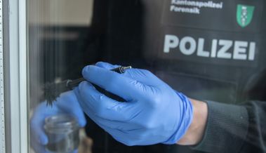 Einbruchserie setzt sich fort: Täter dringen durch Fenster in Einfamilienhaus ein