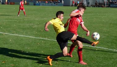 Erfolgsaussichten vor allem im Cup