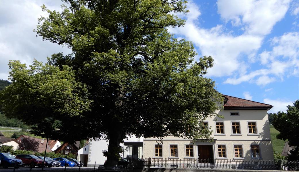 Die Linde und das Lindenhaus in Berneck, fotografiert von René Schelling.