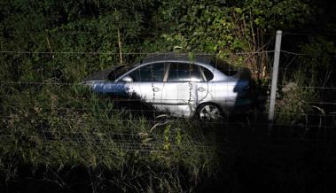 Von der Autobahn in den Wildschutzzaun