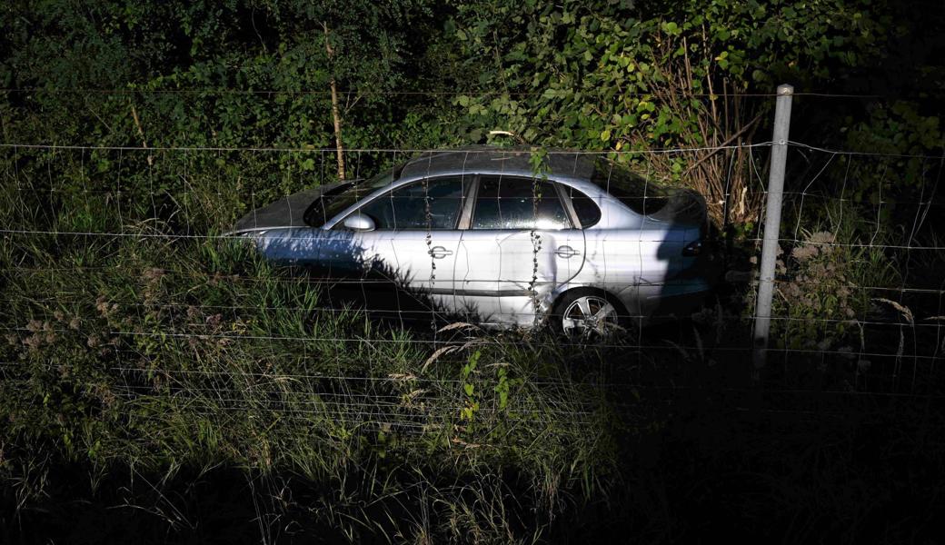 Der betrunkene Fahrer beschädigte 40 Meter des Wildschutzzaunes an der A13.