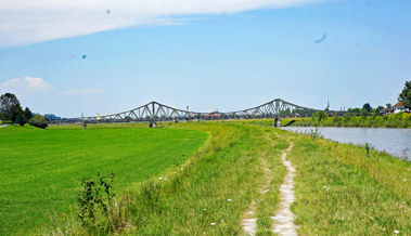 Vom Urwald zum Kanal: Brücken über den Rhein, wo sie sich befinden und was sie uns erzählen