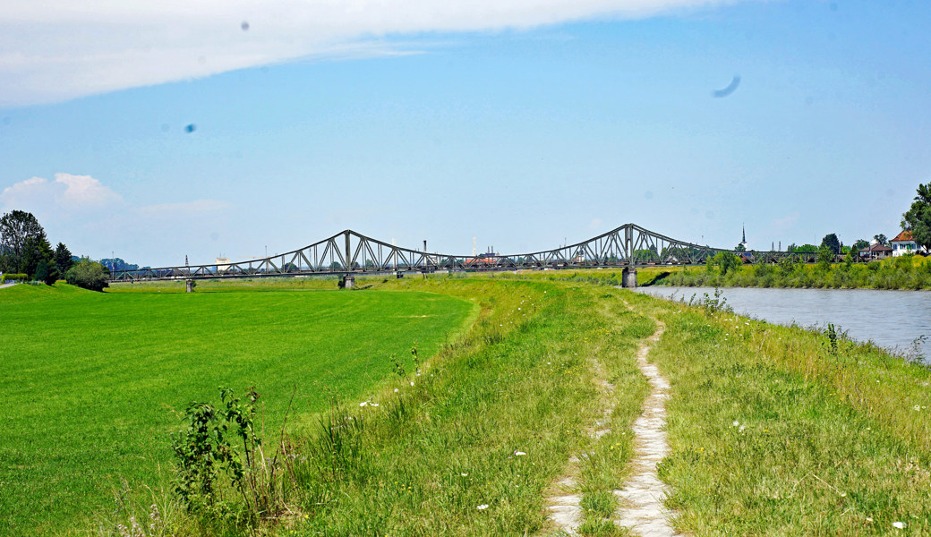 Vom Urwald zum Kanal: Brücken über den Rhein, wo sie sich befinden und was sie uns erzählen