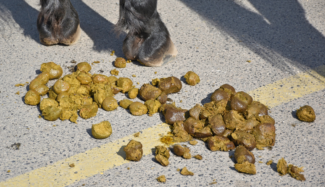 Warten auf den nächsten Regen? Oder: Was tun, damit Rossmist nicht liegen bleibt?