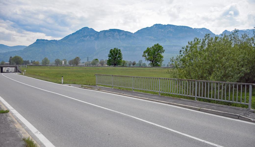 Diese 7000 Quadratmeter (nach der Brücke rechts) verkauft die Ortsgemeinde Schmitter.