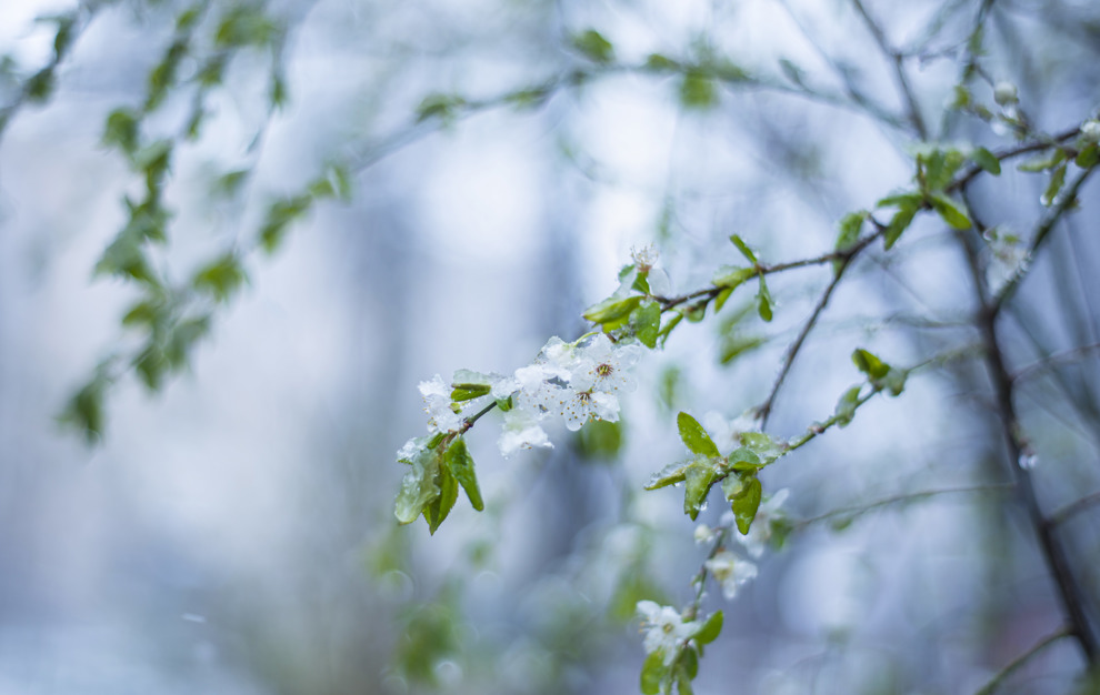 Depositphotos 462868302 XL