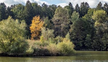 Bunt sind schon die Wälder