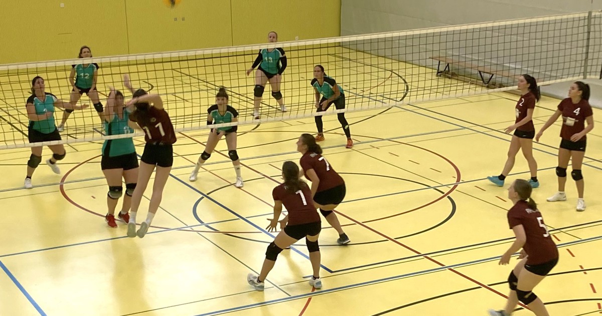 ViertligaFrauen von Rheno Volley stoppen den Spitzenreiter Der