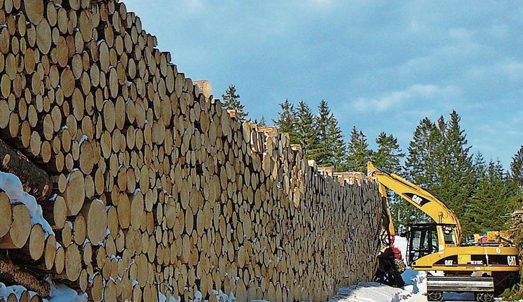 Auch aus einem FSC-zertifizierten Wald kann viel Holz entnommen werden.