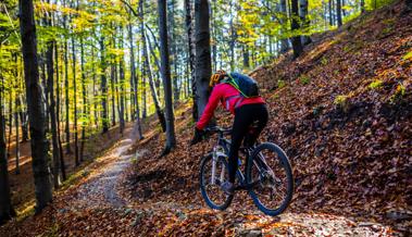 Biken auf gelenkten Strecken