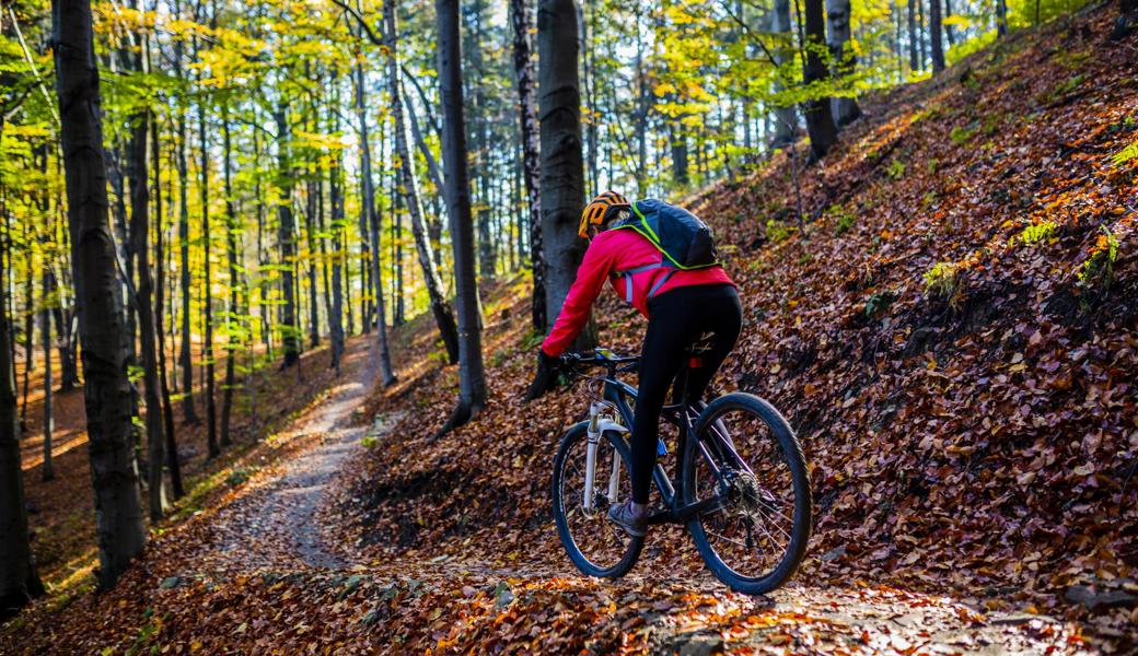 Vom St.Anton ins Rheintal hinab wurden Mountainbike-Routen definiert.