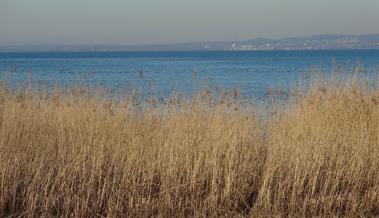 Frühlingsgefühle am Bodensee