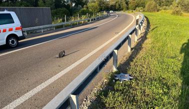 Ohne Führerschein und fahrunfähig: 81-jähriger Geisterfahrer auf der A1