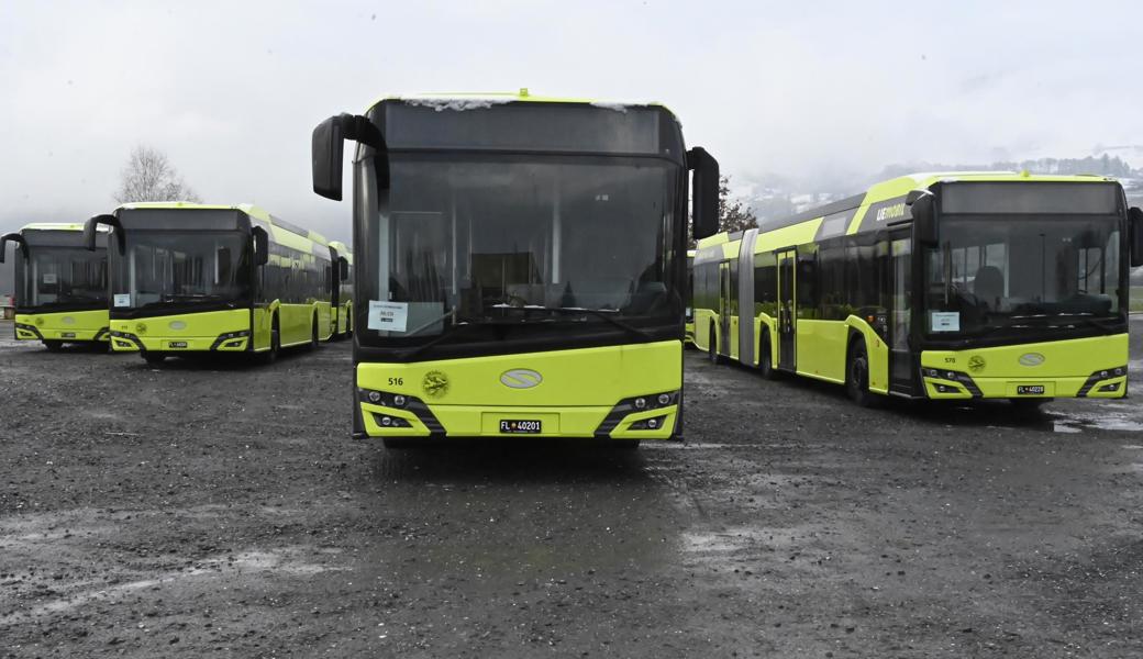 Diese Busse auf der Altstätter Allmend fahren ab kommendem Sonntag auf dem Liechtensteiner Busliniennetz.