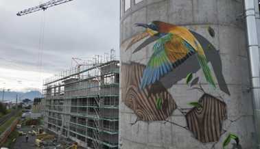 Vögel am Silo: Von grauem Beton zu lebendiger Kunst
