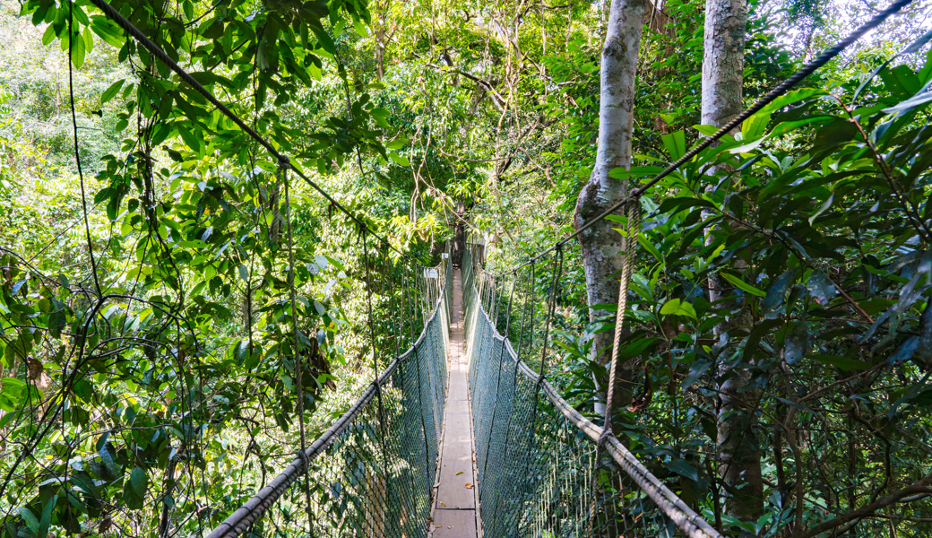 Hoffnung in unsicheren Zeiten: Warum Christen trotz globaler Krisen auf Gott vertrauen