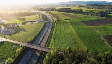 Wahlen in die Regierung: Bauern und Wirtschaft schliessen Reihen