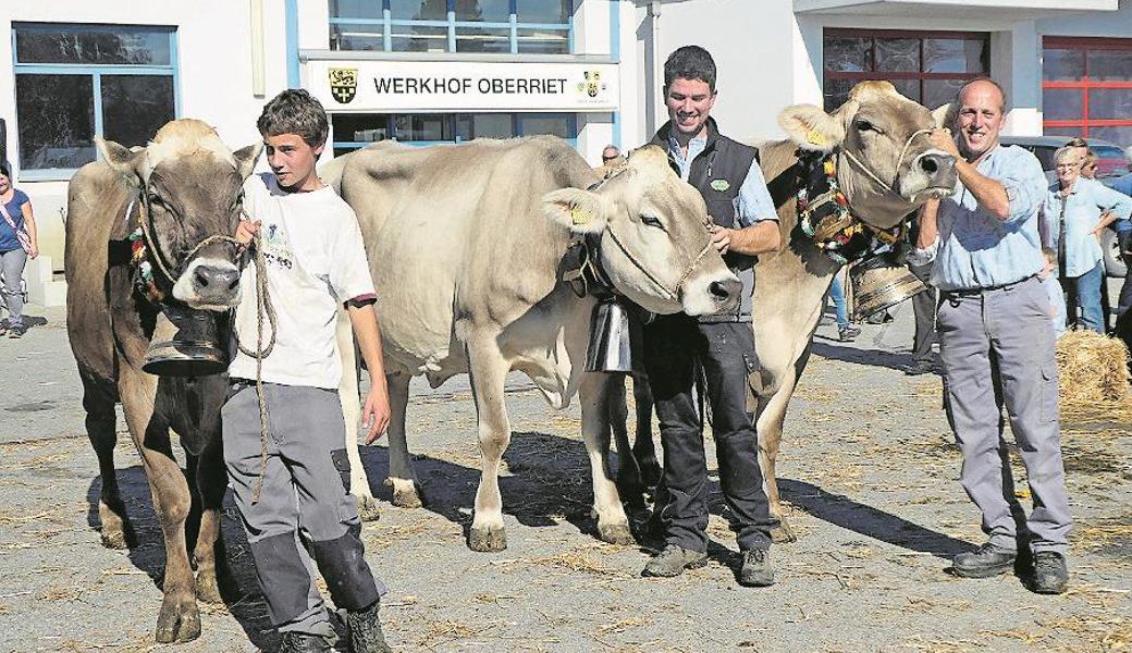 Dea (Mitte) ist Miss Viehschau Oberriet, gefolgt von Elopa (rechts) und der Kuh Columbia.