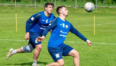 Diepoldsauer Faustballer bestreiten eine Doppelrunde