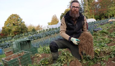 Das steckt hinter der aufwendigen Herstellung eines pflanzlichen Heilmittels