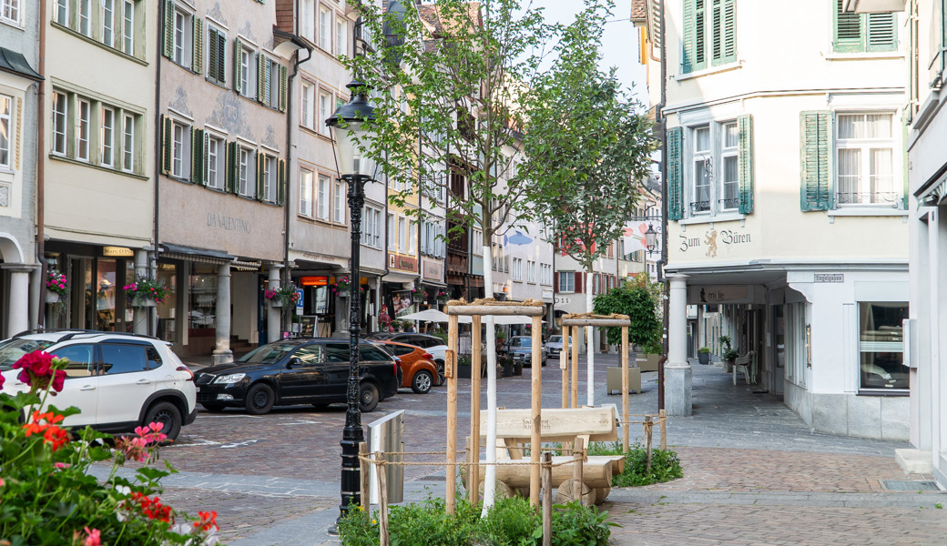 Bürgerinnen und Bürger gestalten Zukunft der Altstadt aktiv mit