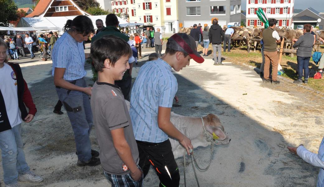 Die Jungzüchter sind zwischen sieben und 13 Jahre alt. 