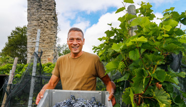 Winzer Roman Rutishauser erläutert, was einen guten Wein ausmacht Winzer Roman Rutishauser erläutert, was einen guten Wein ausmacht
