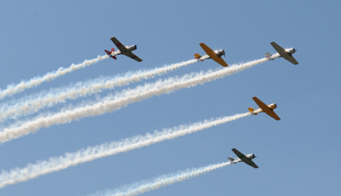 Airshow in Altenrhein: seltenes Spektakel oder vermeidbare Emissionen?