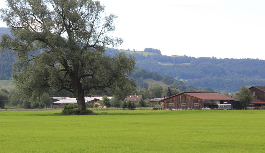 10) Lüchingen (T), Balgach (N), Lienz (S), Diepoldsau (R)