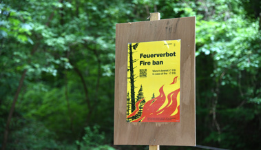 Im oberen Rheintal gilt weiterhin ein Feuerverbot im Wald und in Waldesnähe