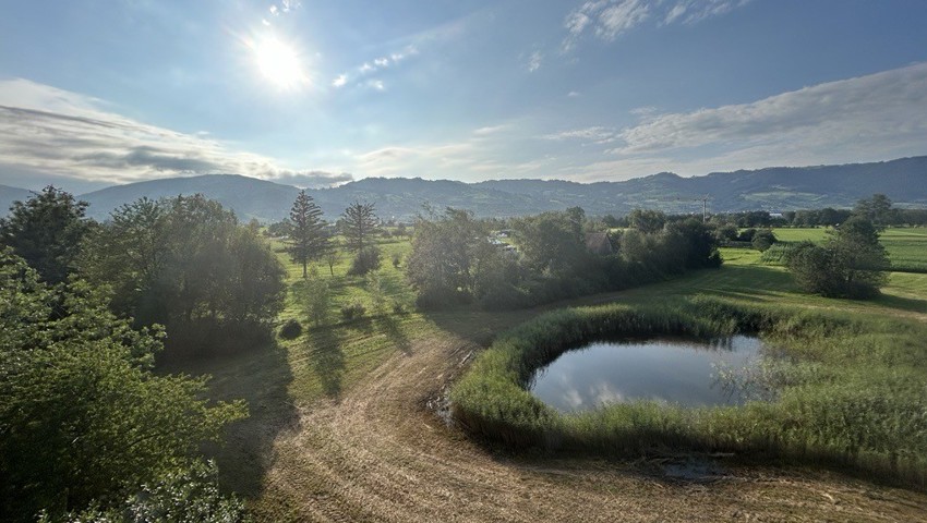 Blick vom Aussichtsturm der Schollenmühle ins Riet.