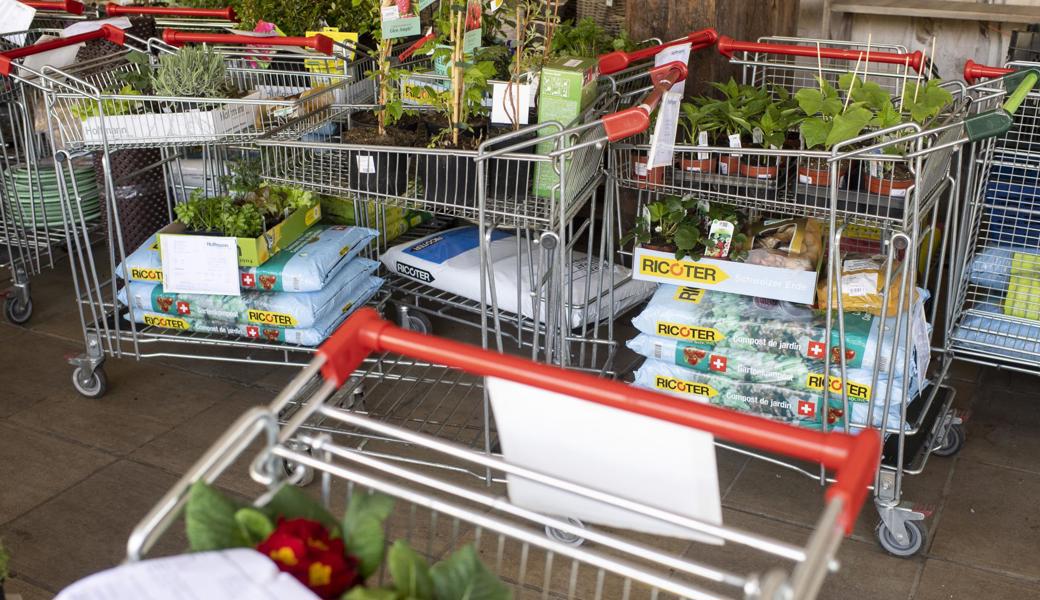 Gartencenter dürfen bald wieder Kundschaft im Laden bedienen.