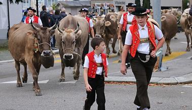 Tradition, Folklore und 300 Kühe