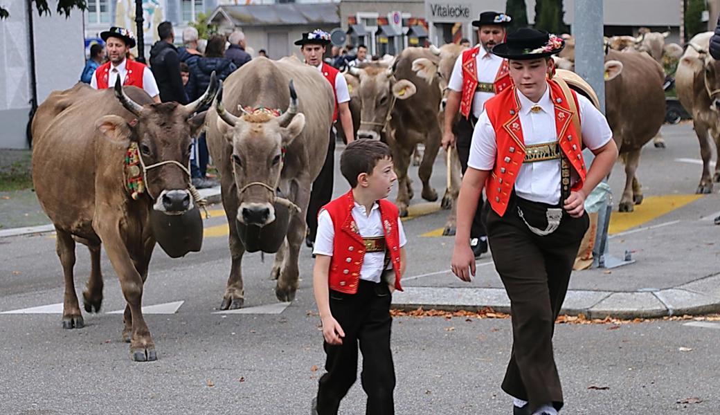 Die Auffuhr der Tiere zu Fuss ist alljährlich wieder ein Highlight der Folklore, das die Schaulustigen zu Hunderten anzieht.   